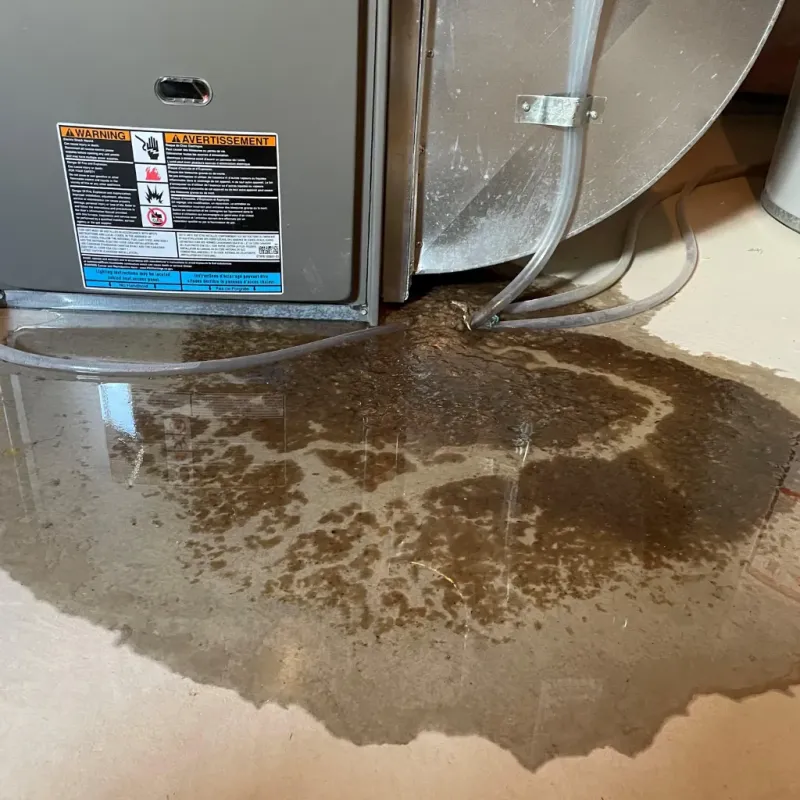 Appliance Leak Cleanup in Rural Hall, NC