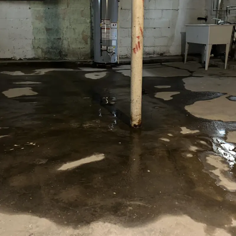 Emergency Water Extraction And Removal in Rural Hall, NC